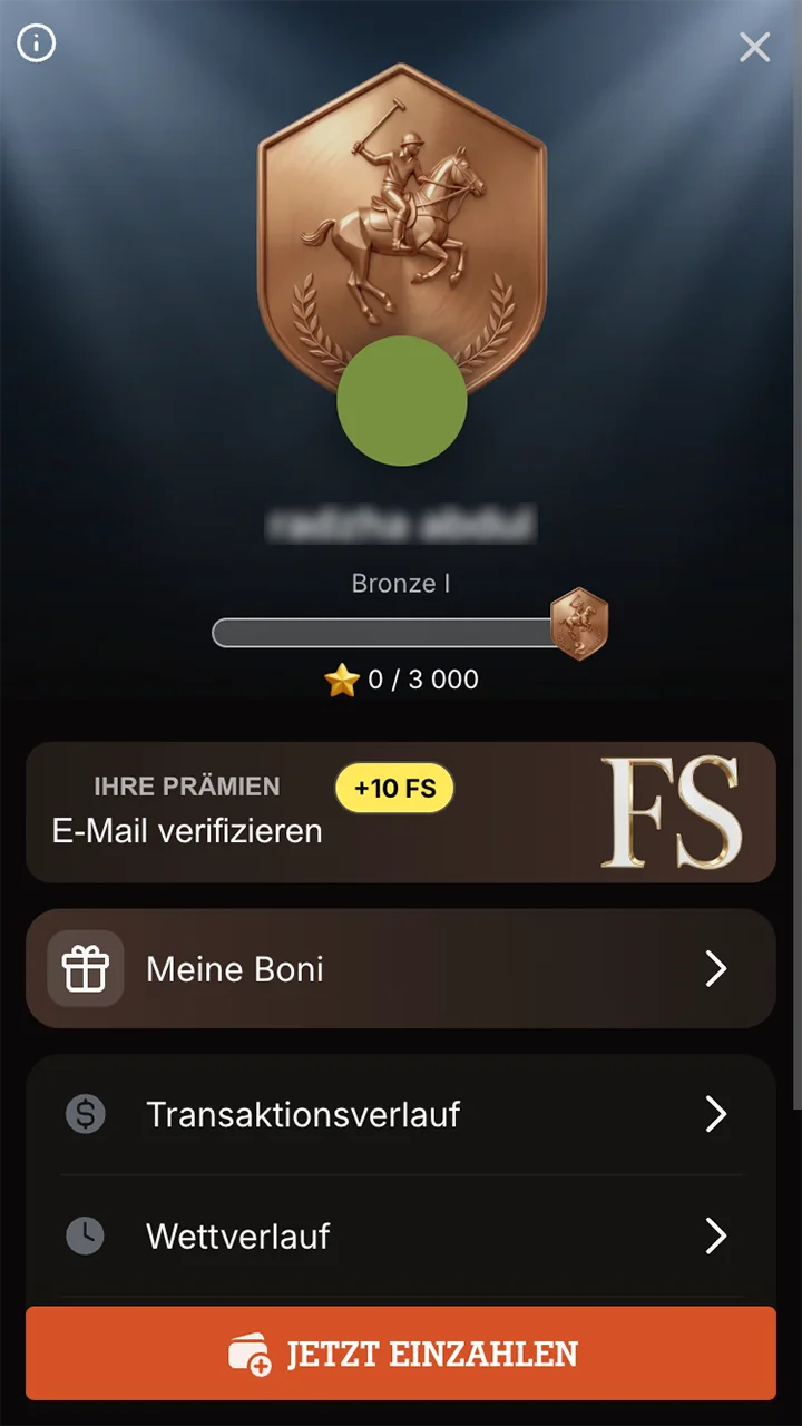 Informieren Sie sich auf der Website von Spinpolo über die verfügbaren Funktionen Ihres Kontos.